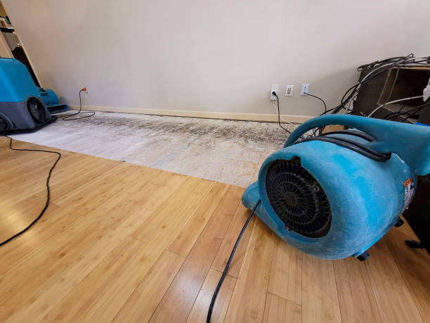 Professional Sewage Cleanup technician working in Wilson, AR